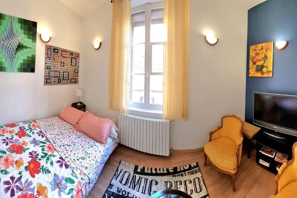 T2 Louise - Jardin Des Plantes - Metro - Tramway Apartment Toulouse